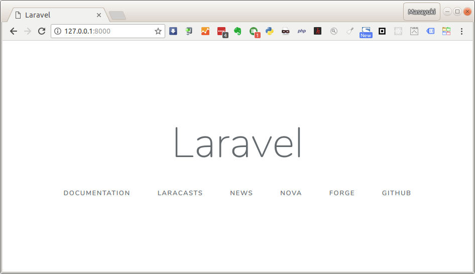 Laravel started